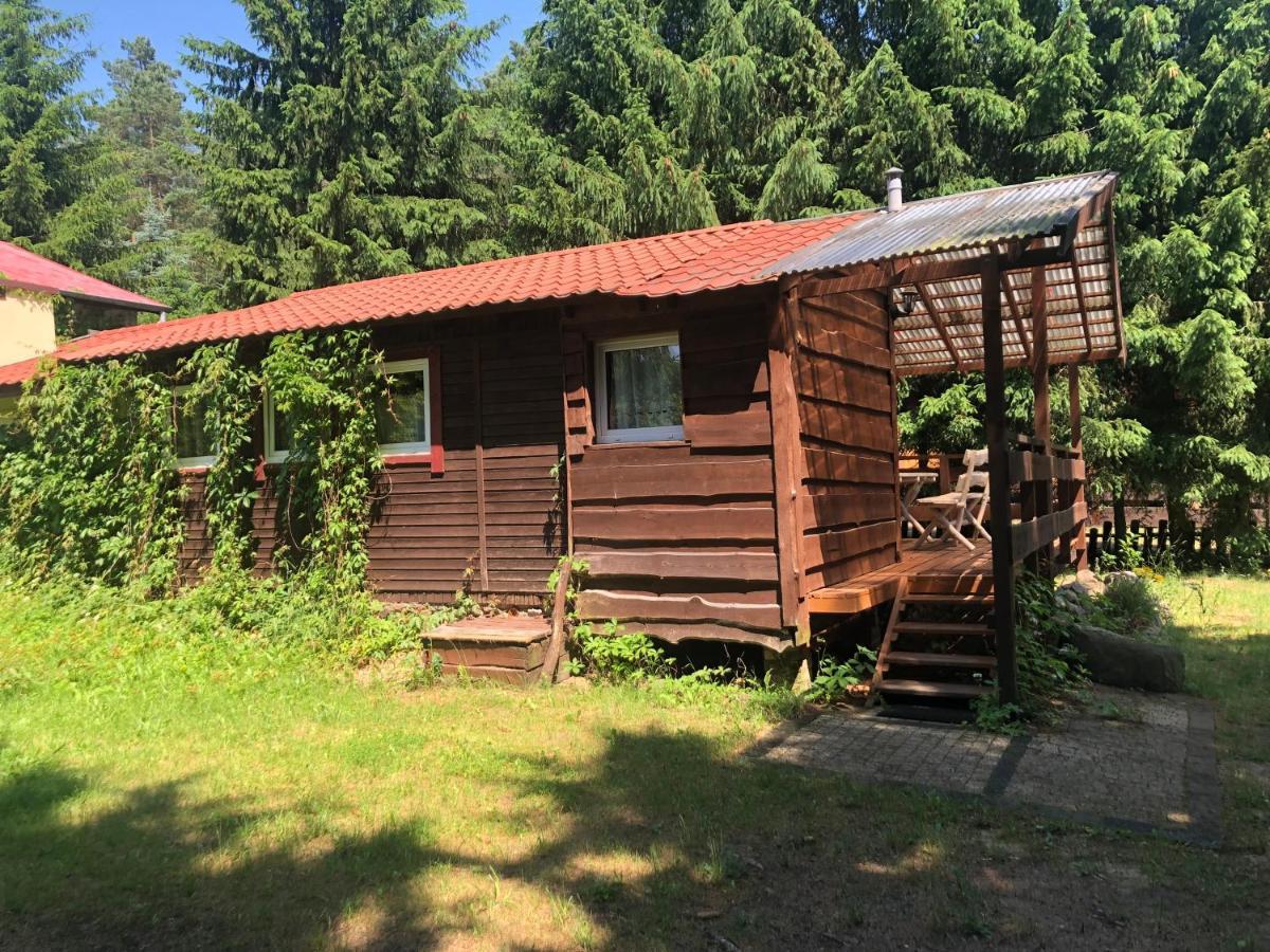 Gosciniec Pod Debem Villa Wilimy Esterno foto