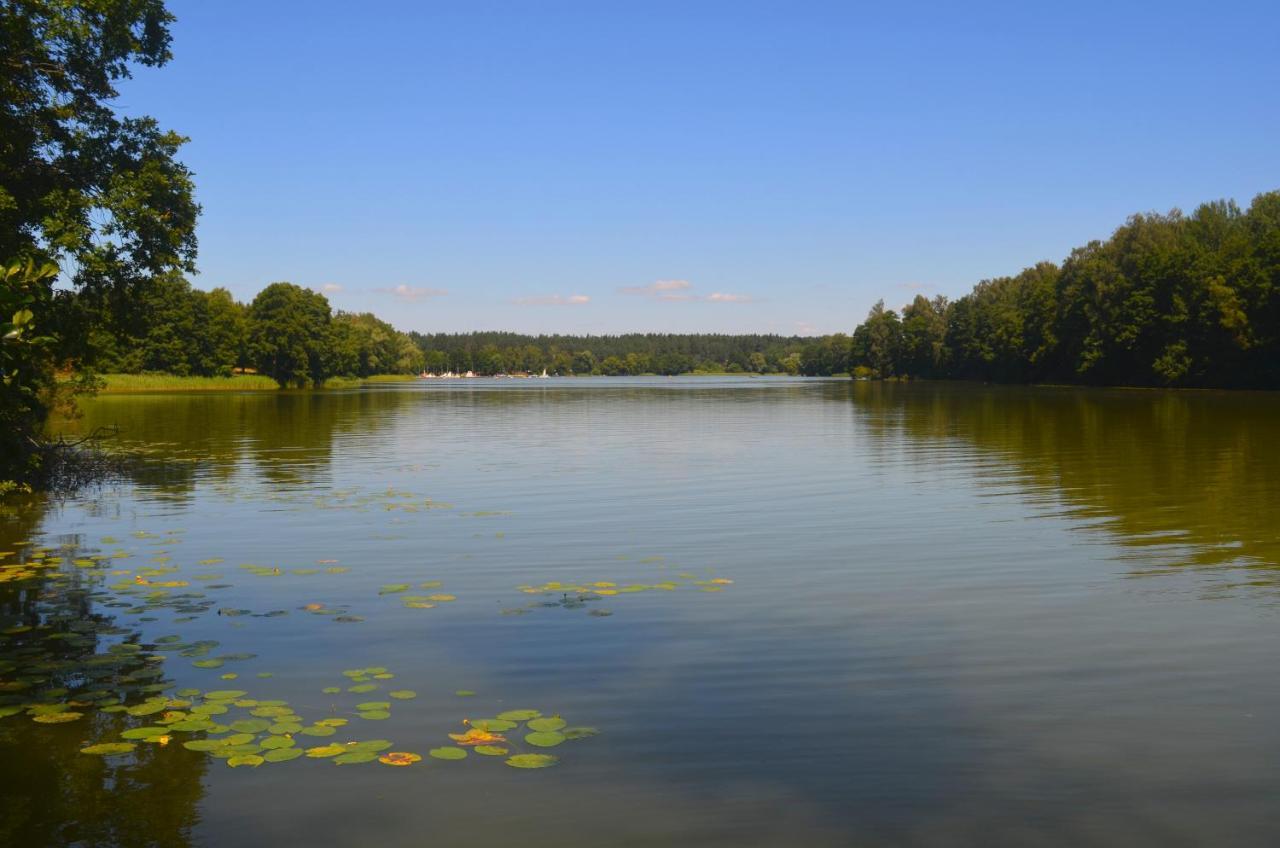 Gosciniec Pod Debem Villa Wilimy Esterno foto