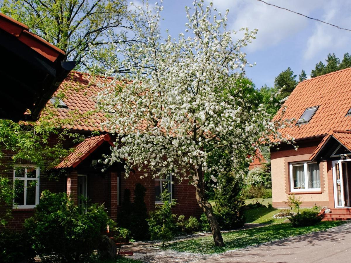 Gosciniec Pod Debem Villa Wilimy Esterno foto